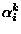 $\alpha^k_i$